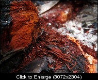 IMG3265.jpg